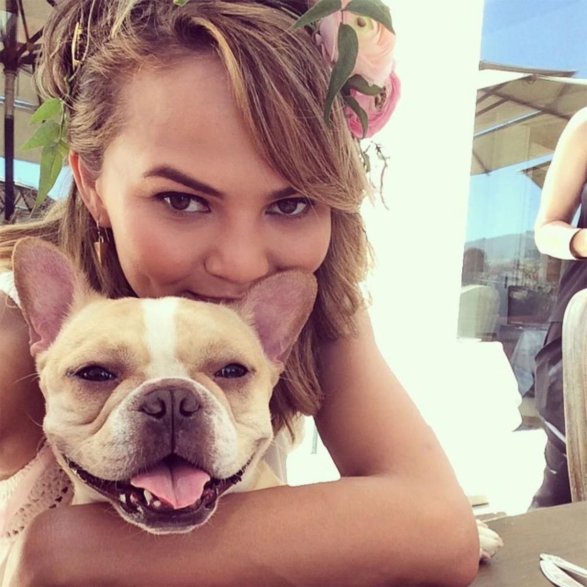 Chrissy Teigen and John Legend Mourn the Loss of Their Family Bulldog 3