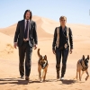 John Wick Prequel Series Costing Upwards Of $20 Million Per Episode