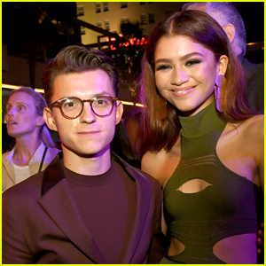 Tom Holland Proves He's a Zendaya Super Fan on Instagram - See His Comment!