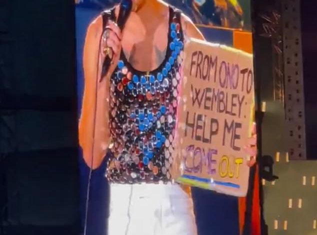Harry Styles helps fan come out during Wembley Stadium concert.