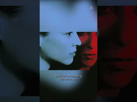 Oscar Winner Pedro Almodóvar Tribute