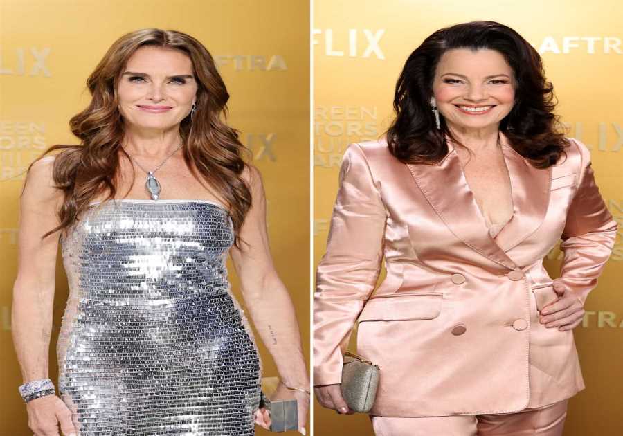 Brooke Shields Says Fran Drescher Helped With Fertility Treatments