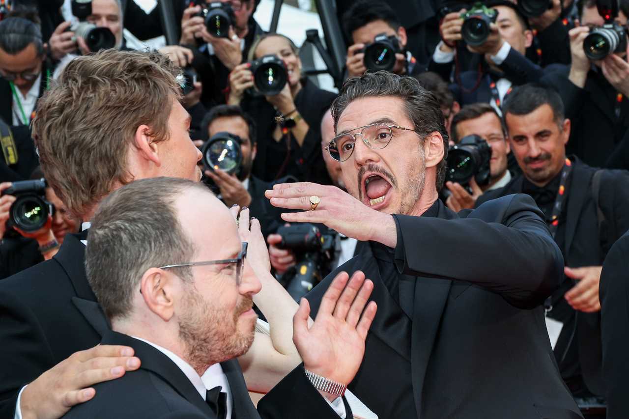 All the times celebrities have been upstaged by the smallest of surprise guests - otherwise known as bugs