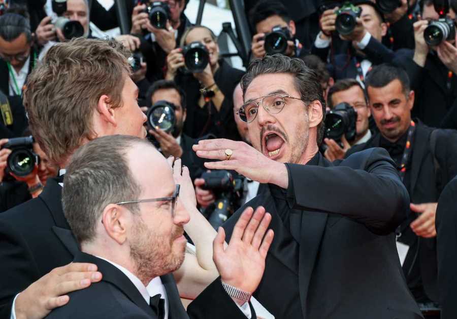 All the times celebrities have been upstaged by the smallest of surprise guests - otherwise known as bugs