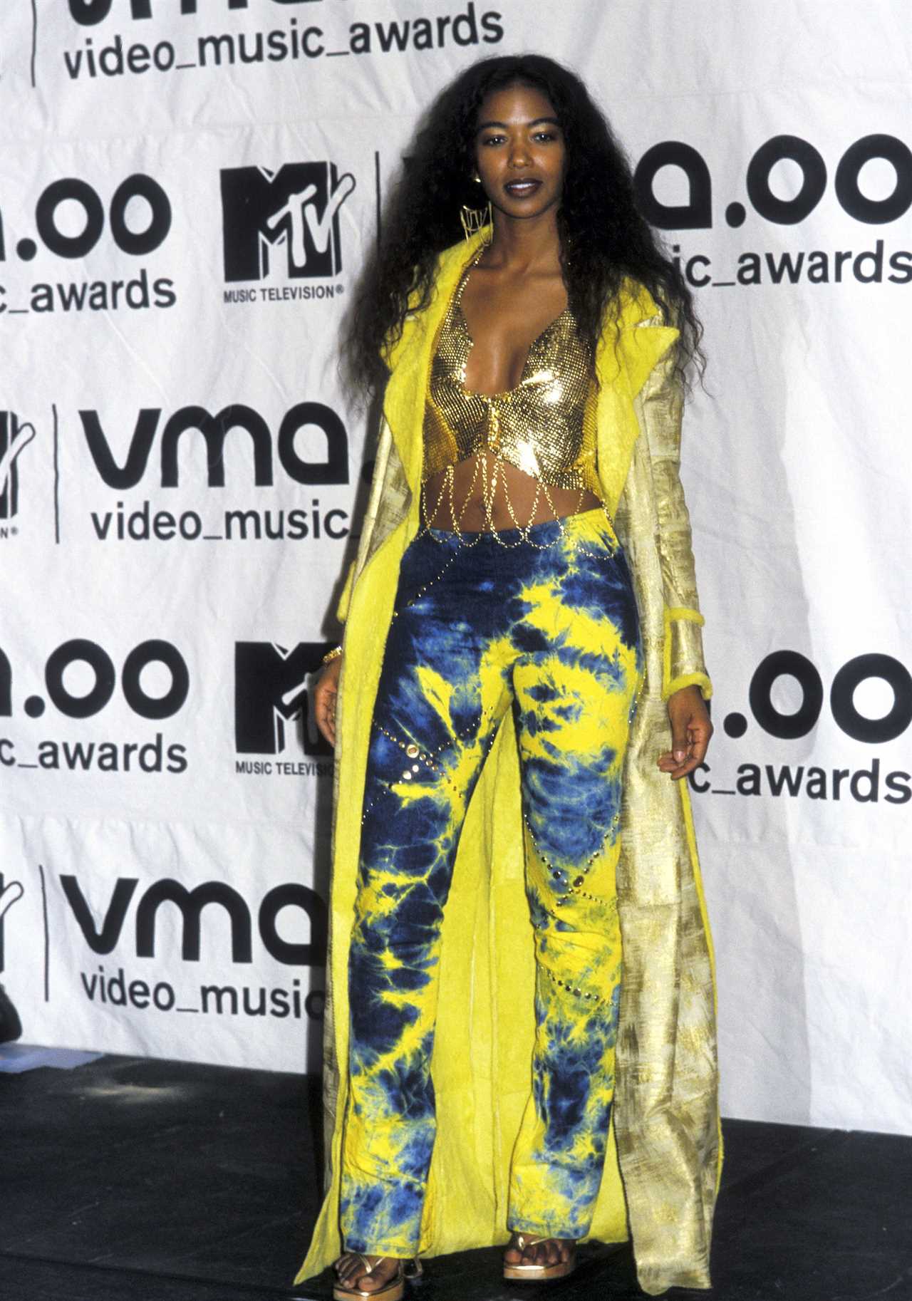 Ananda-Lewis-GettyImages-122339701.jpg