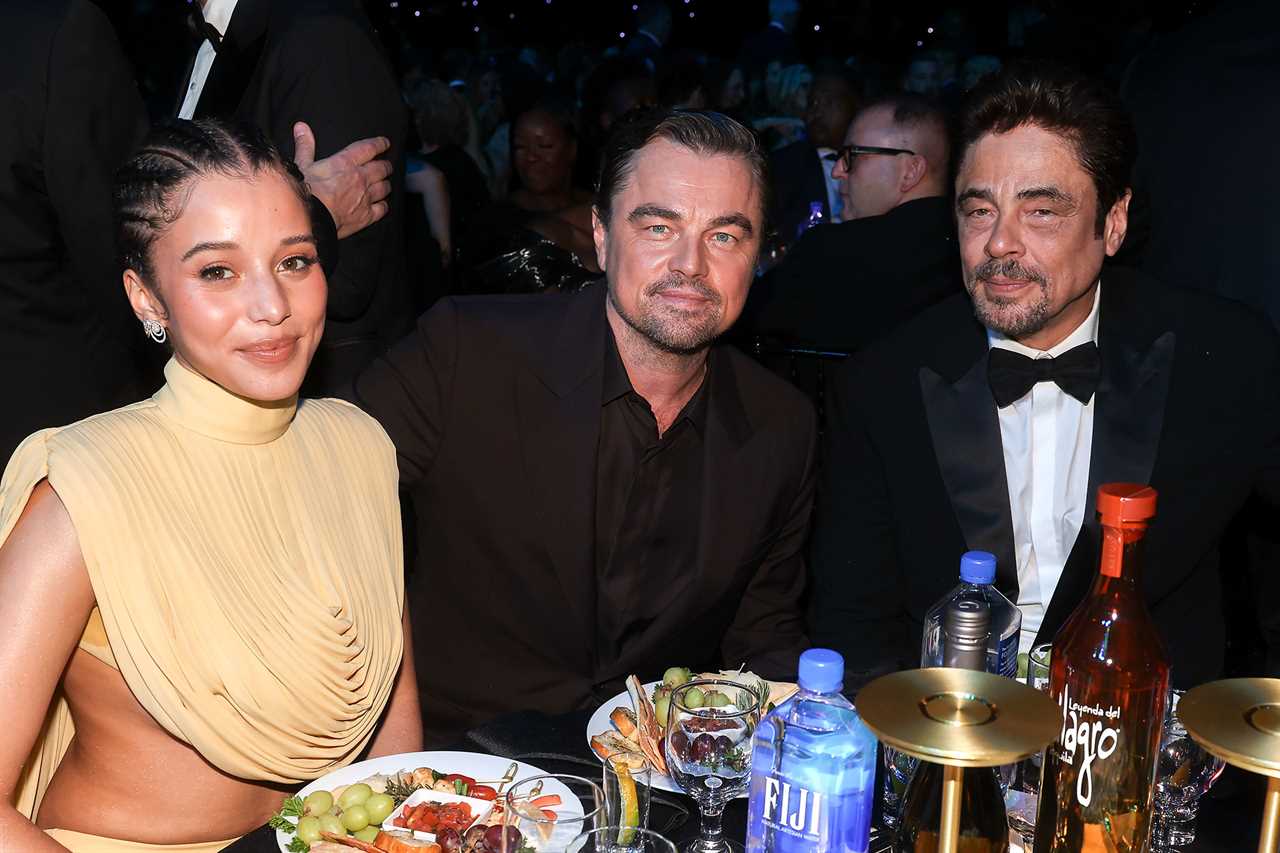 Leo DiCaprio Reacts to Chelsea Handler’s Critics Choice Monologue Yacht Joke