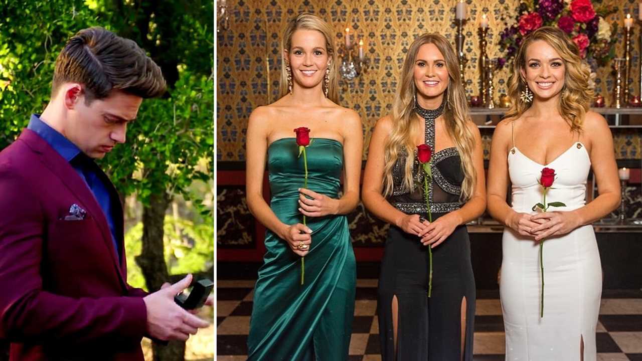 The Bachelor, Matt Agnew, Abbie Chatfield, Chelsie Mcleod, Helena Sauzier, rose ceremony