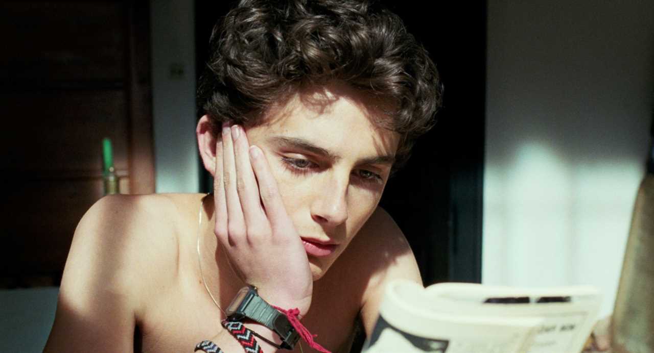 Timothee Chalamet in Call Me by Your Name