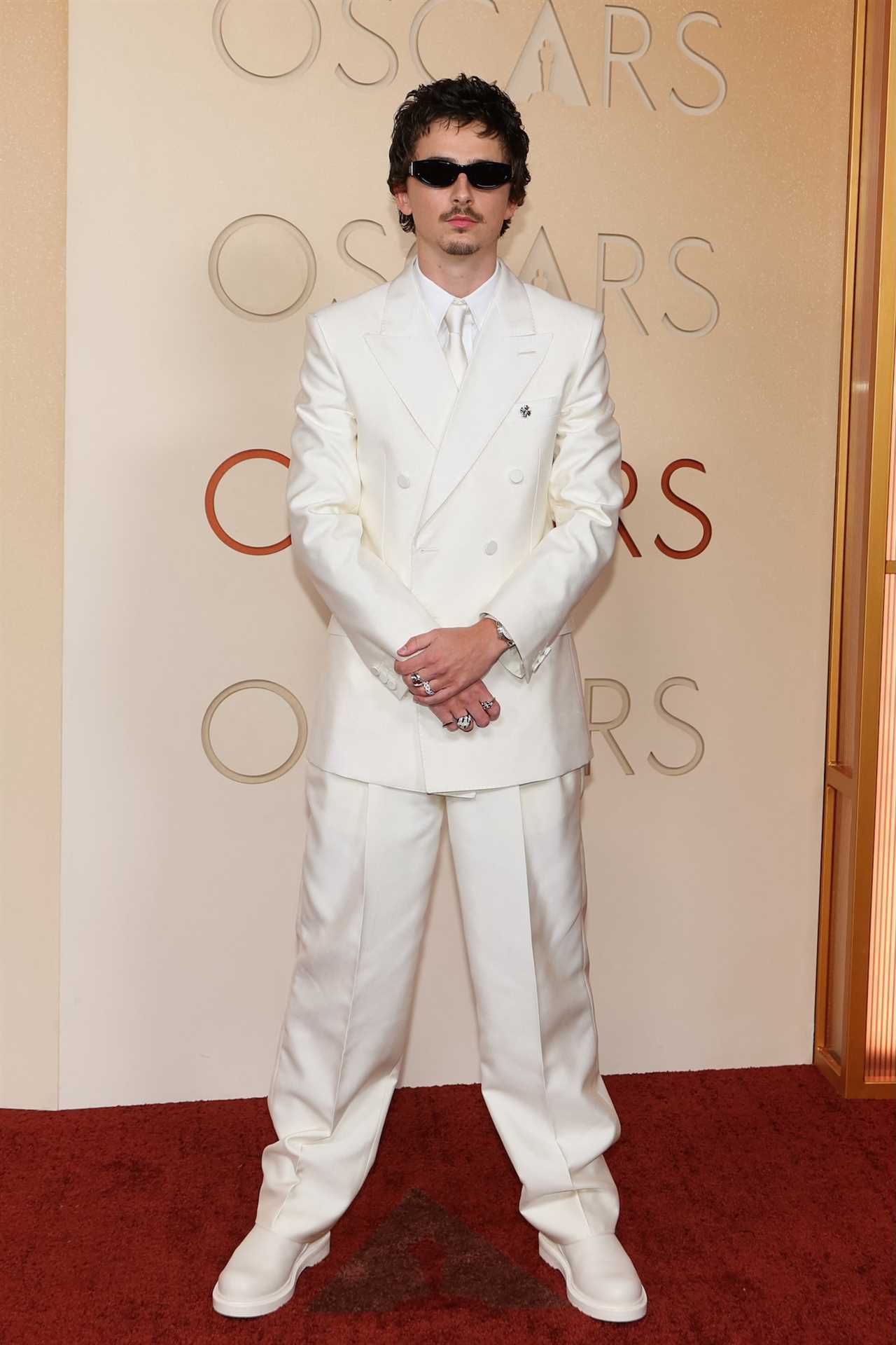 Timothee Chalamet Walks 2026 Oscars Red Carpet Without Kylie Jenner