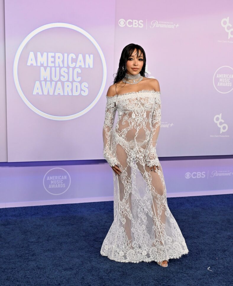 Every Celeb at American Music Awards 2026 – See All Stars on the Red Carpet (Photos)